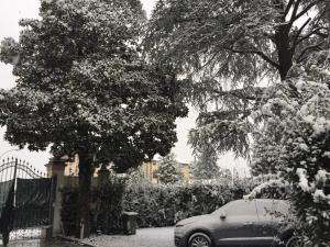 Fotografie z fotogalerie ubytování Lucca Relais v destinaci Lucca