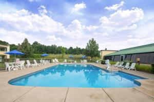 a large swimming pool with chairs and umbrellas at Super 8 by Wyndham Erie/I 90 in Erie