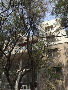 un edificio con dos ventanas y un árbol delante de él en Bauhinia en Pune