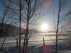 a snow covered field with the sun behind some trees at Toftemo Turiststasjon in Dovre