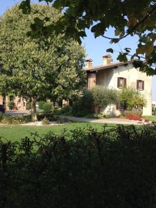 a large house with a tree in front of it at Le Rondini in Bagnolo Mella
