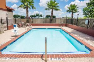 a large swimming pool with a chair and palm trees at Super 8 by Wyndham Brookshire TX in Brookshire