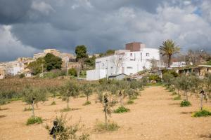 Gallery image of La Terrazza di Harmakhis in Partanna