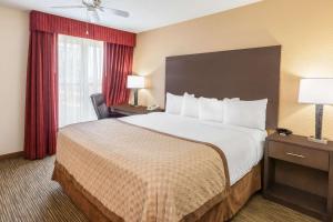 Habitación de hotel con cama grande y ventana en Affordable Suites of America Detroit-Warren, en Warren