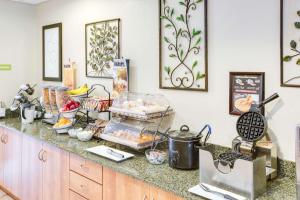 Gallery image of Microtel Inn & Suites by Wyndham Saraland in Saraland