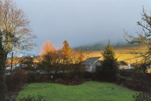 A garden outside Pennycroft Guest House