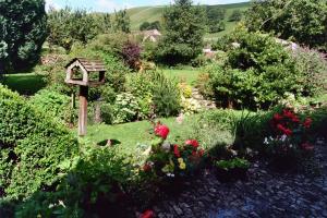 A garden outside Pennycroft Guest House