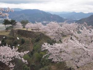 日式旅馆周边自然景观