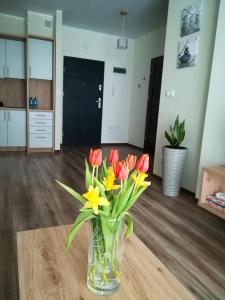 a vase filled with red and yellow flowers on a table at Modern in Suwałki