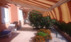 a patio with a bunch of plants and flowers at Apartments Jela in Metajna
