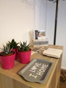 uma secretária com três vasos de plantas e um cartaz em L'attico di Rosetta em Catânia