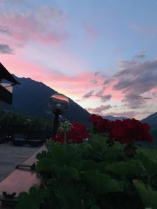 a view of a sunset with red flowers and a mountain at Garni Schneeburghof in Tirolo