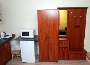 Kuchyň nebo kuchyňský kout v ubytování Studio On Tehnika 19