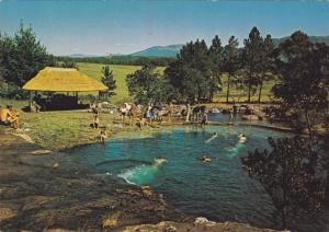 a painting of a group of people swimming in a pond at Ingwe Guesthouse in Nelspruit