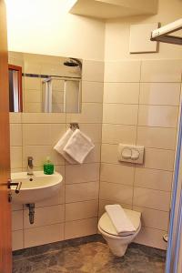 ein Badezimmer mit einem Waschbecken, einem WC und einem Spiegel in der Unterkunft Hotel zur Brücke in Greifswald