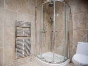 y baño con ducha y aseo. en Ballas Farm Country Guest House en Bridgend
