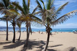 eine Gruppe von Palmen am Strand mit Menschen in der Unterkunft Mare Home - Beach & City in Las Palmas de Gran Canaria