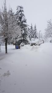 Albergo Ristorante Poli during the winter