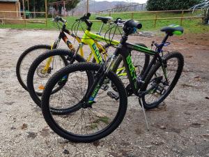 un grupo de bicicletas estacionadas una al lado de la otra en Albergo Ristorante Poli en Madonna di Fornelli