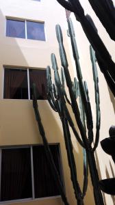 Afbeelding uit fotogalerij van Hotel Rivera in Ayacucho