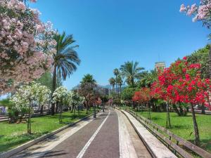 una calle en un parque con árboles y flores rosas en Un Tetto Di Stelle Deluxe Home, en Salerno
