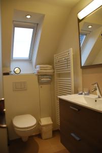La salle de bains est pourvue de toilettes, d'un lavabo et d'un miroir. dans l'établissement Hotel Rubens, au Coq