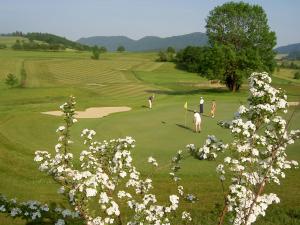 Çiftlik evi veya yakınında golf olanakları