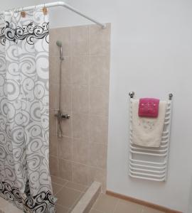 トラスコヴェッツにあるApartments on Drohobytska 6bのバスルーム(シャワー、シャワーカーテン付)が備わります。