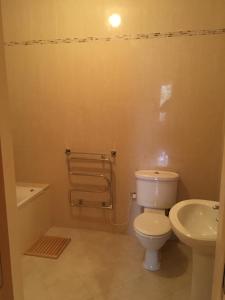 a bathroom with a toilet and a sink at Beautiful Killarney Apartment in Killarney