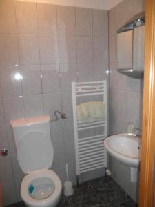 Koupelna v ubytování Guest House Spoljaric Sasa