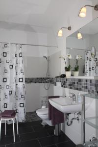 バート・ザルツフレンにあるTal-Residenz Erdgeschossのバスルーム(洗面台、トイレ、鏡付)