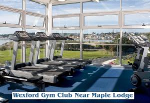 Fitness centrum a/nebo fitness zařízení v ubytování Maple Lodge