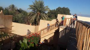 Hosté ubytování Oasis de Tiout