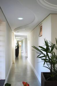 a hallway with white walls and a potted plant at Hotel Sonnet Curitiba in Curitiba