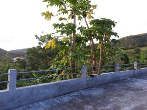 Príroda v okolí of the bed and breakfast