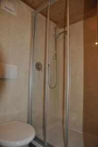 eine Duschkabine im Bad mit WC in der Unterkunft Ferienwohnungen Durst Roswitha in Schattwald
