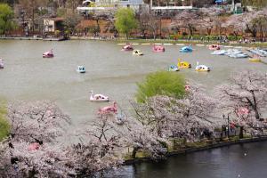 飯店附近河川的景觀