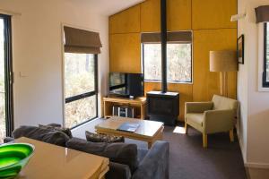 TV a/nebo společenská místnost v ubytování Discovery Resorts - Cradle Mountain