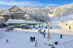 a group of people in the snow at a ski resort at Le Chalets- King of the mountain- sleeps 18 by ABM in Falls Creek