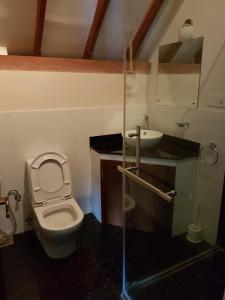 a bathroom with a toilet and a sink at Cheltenham Cottage - Little England Cottages in Nuwara Eliya +15 photos