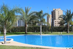 a swimming pool with palm trees and buildings at Sol y playa in Alicante