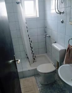 Apartment Ivana في درفينيك: حمام مع دش ومرحاض ومغسلة