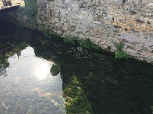 Nuotrauka iš apgyvendinimo įstaigos Le moulin de la côte chambre d'hôtes mieste Saint-Vigor galerijos