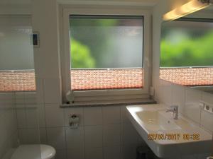 a bathroom with a sink and a window and a toilet at Landhaus Erben in Wasserburg am Bodensee