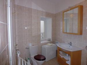 y baño con aseo, lavabo y espejo. en Comfortable Gite (2) in attractive Languedoc Village en Magalas