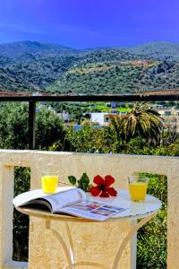 a table with a book and two glasses on it at Stelios Residence Apartments in Malia