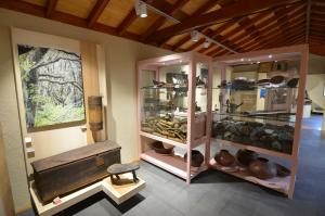 a display case in a room with pots and pans at Apartamentos Los Telares in Hermigua