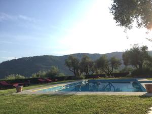 a swimming pool in the middle of a grass field at Agriturismo Il Pillone in Montecatini Terme