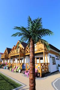 a palm tree in front of a building at Tropikana Domki, Apartamenty in Mielno