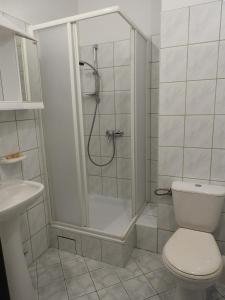 a bathroom with a shower and a toilet at Noclegi u Eichendorffa in Łubowice